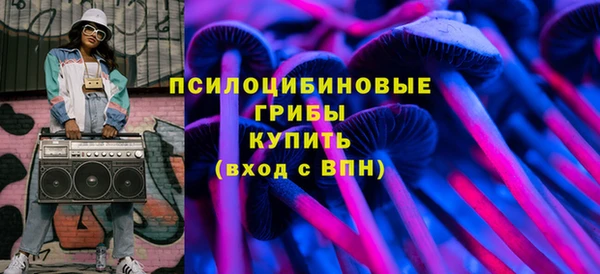 соль курить ск Богородицк