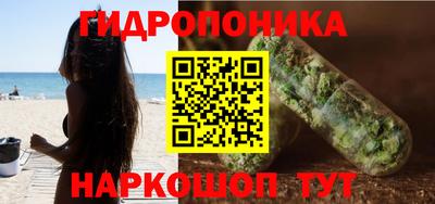 альфа пвп Заводоуковск