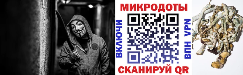 Галлюциногенные грибы ЛСД Минеральные Воды